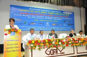 3rd Pilot session Aquaculture