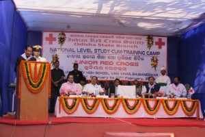 Junior Red Cross