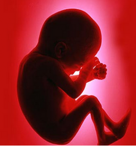 Micropacemaker-Foetus