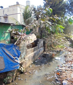 unhygienic BBSR (2)