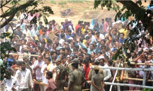 Nabakalebara 2015 Odisha Village turns into Pilgrimage Spot 