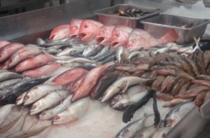 Fish-Odisha