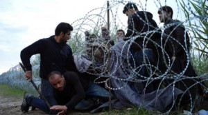 Syrian refugees