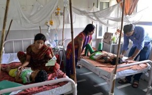 dengue