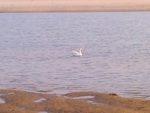 Ramchandi-1