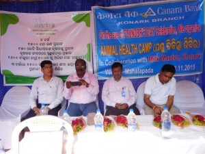 Canara Bank appreciates Milk Mantra efforts; disburses cattle loans