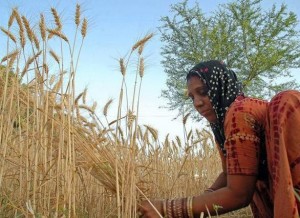 Centrally Sponsored Schemes