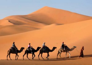 Rajasthan tourism