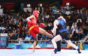 Wushu India