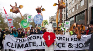 climate change protest