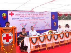 International Volunteers Day-2015