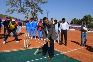 cricket