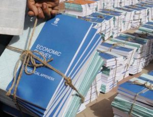 Economic Survey