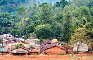 Forest Rights