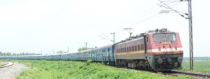 Summer Specials Trains