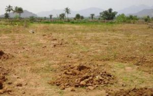 land bank-odisha