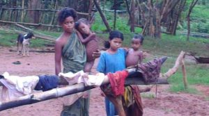 Malnourishment in Juang