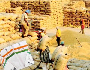 Paddy Procurement
