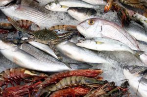 Seafood Export