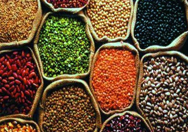 pulses-of-india