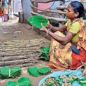 tribal-livelihood