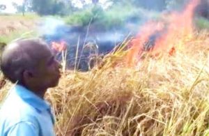 Bargarh- Farmer Brunda Sahu