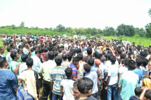 Jay Panda Hindol Heijau