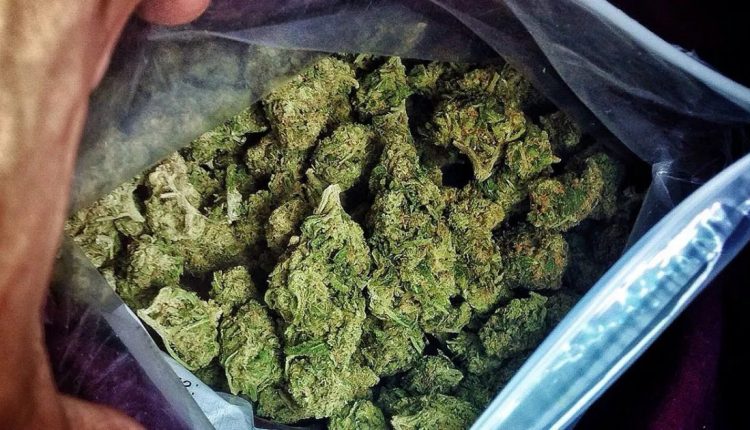 Ganja Smugglers Caught in Odisha