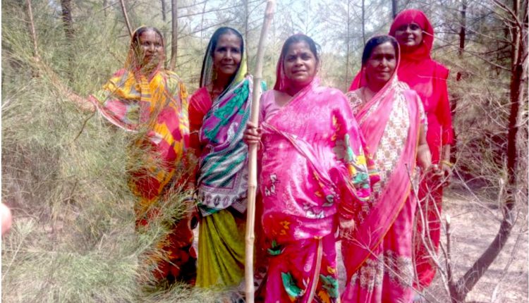 Odisha women protect a forest 2