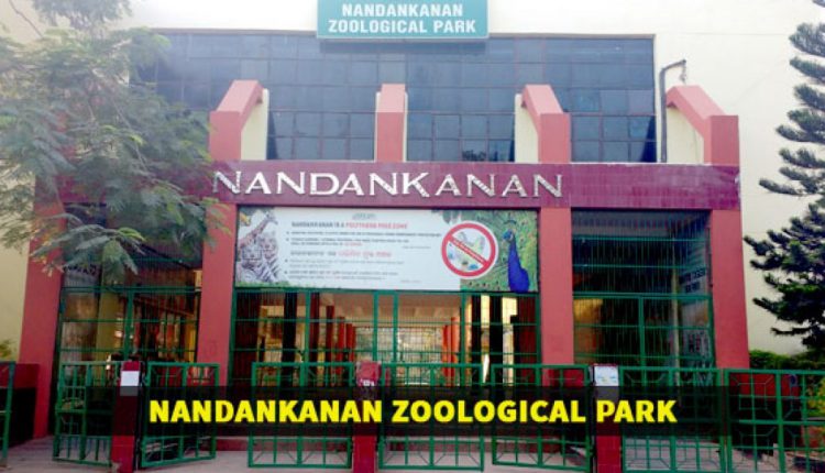 Nandankanan Reopens After Fani
