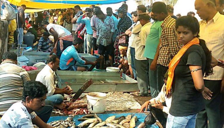 Odisha Chhada Khai Fish Market
