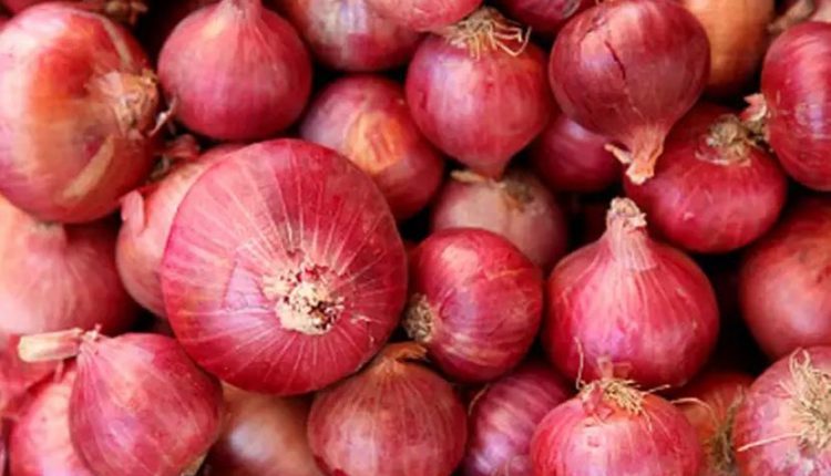Odisha Onion Price