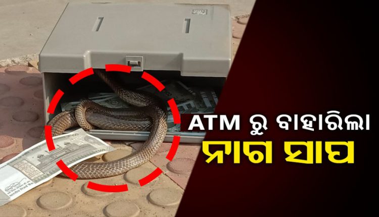 Odisha ATM Snake