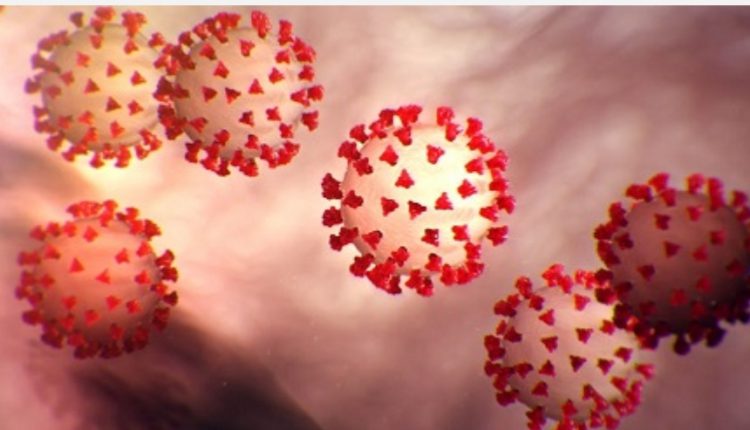 Corona Itali Chaina America