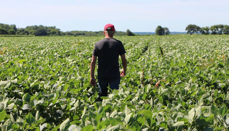 Odisha Farmers Coronavirus Lockdown