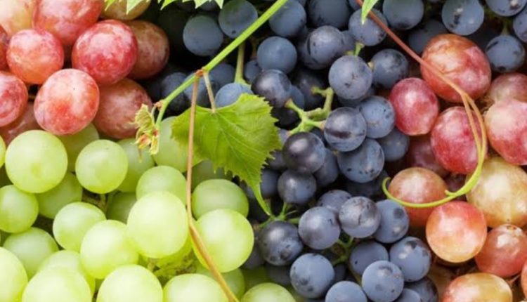 Grapes Medicine Quality
