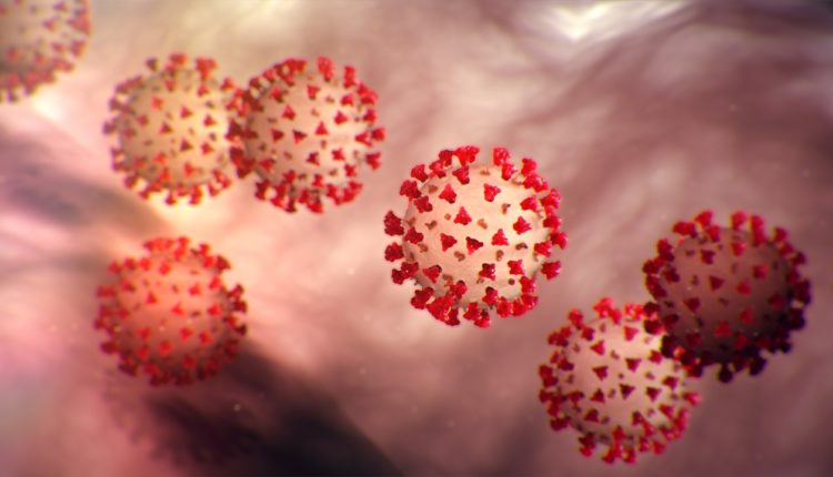 Odisha Coronavirus New Cases (2)